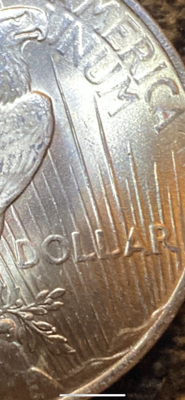 Help-Grading-This-1923-Peace-Dollar.